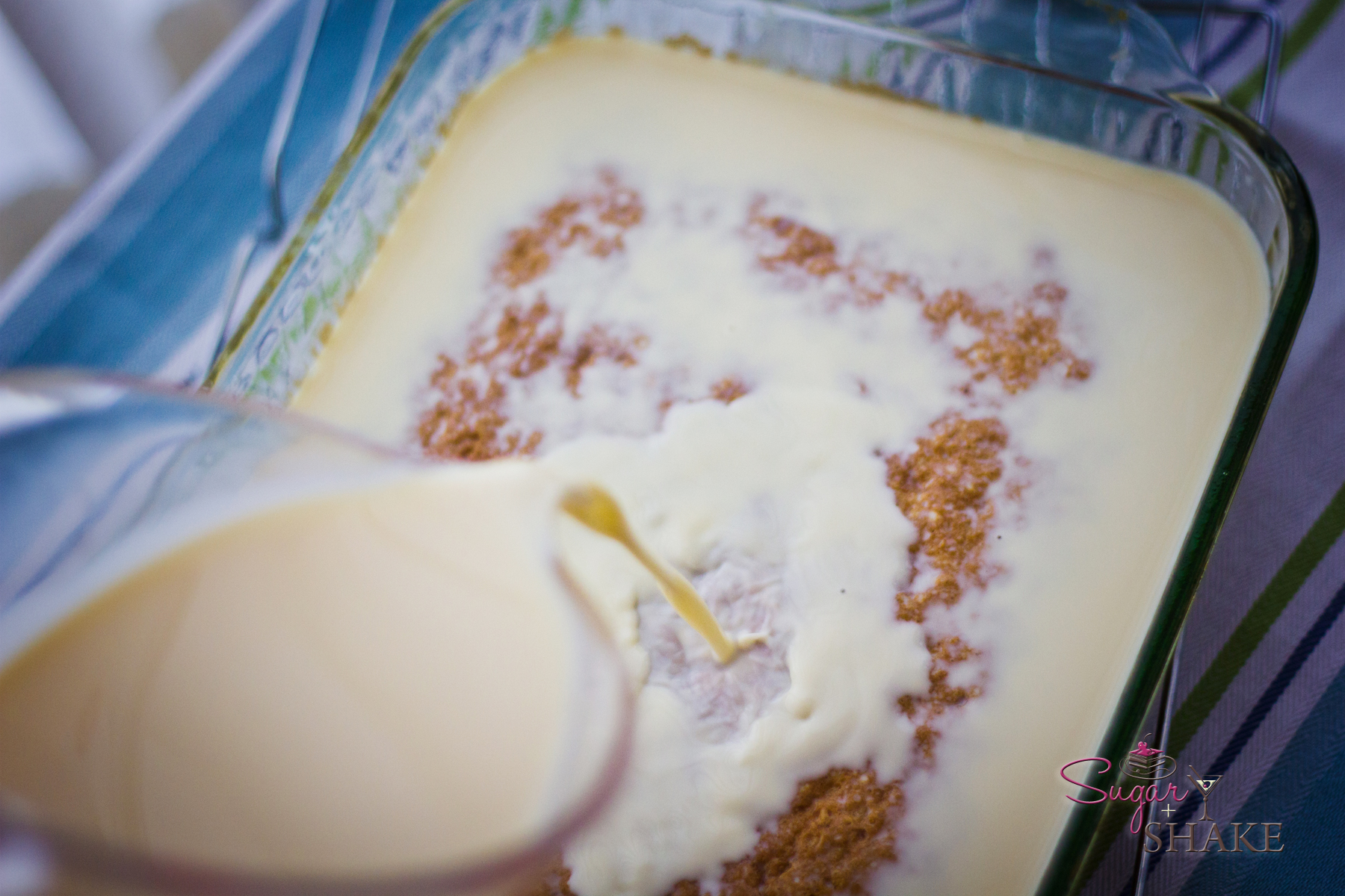 Tres Leche Cake. It’s a VERY spongy cake and absorbs all the milk right away. © 2012 Sugar + Shake
